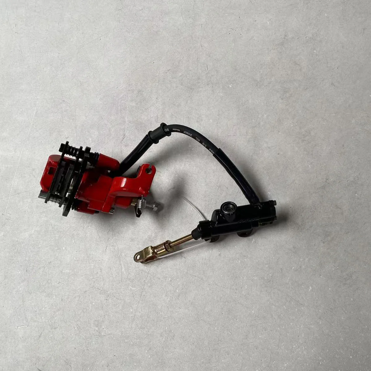 Rear Brake Assy