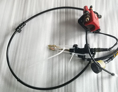 Rear Brake Assy