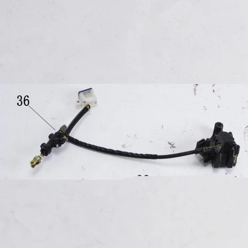 Rear Brake Assembly