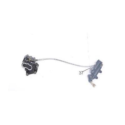 Rear Brake Assembly