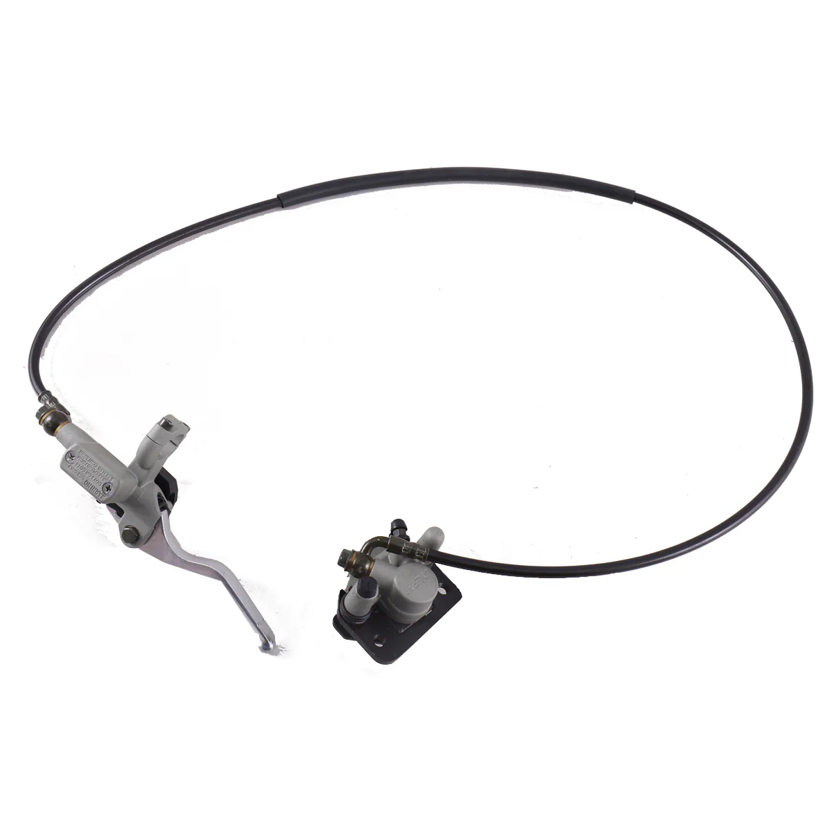 Rear Brake Assembly