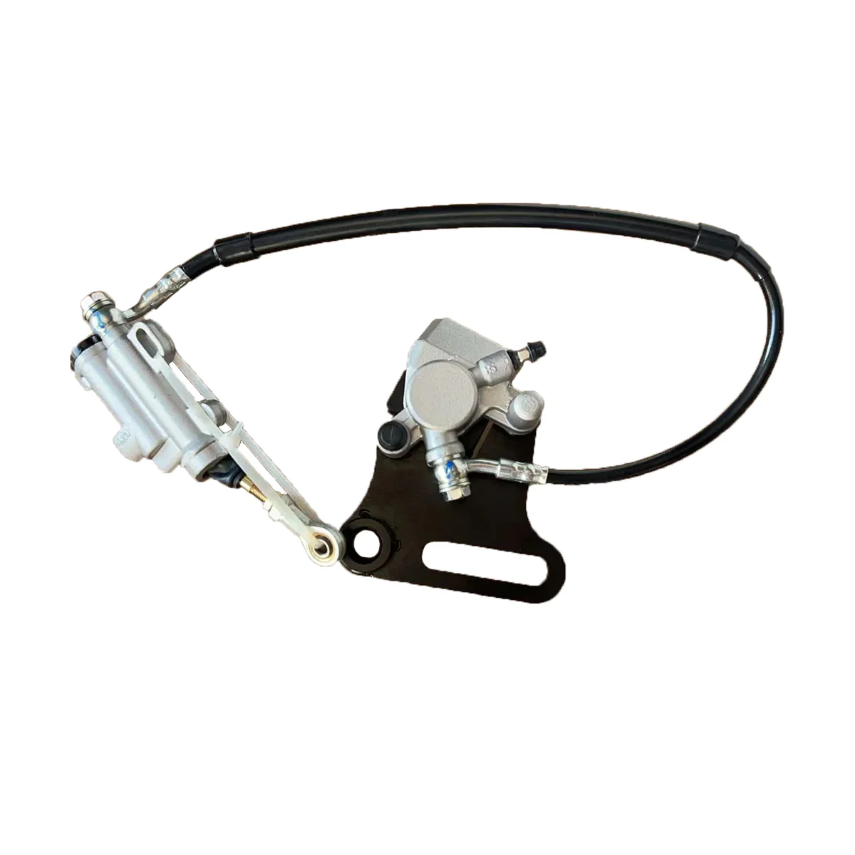 Rear Brake Assembly