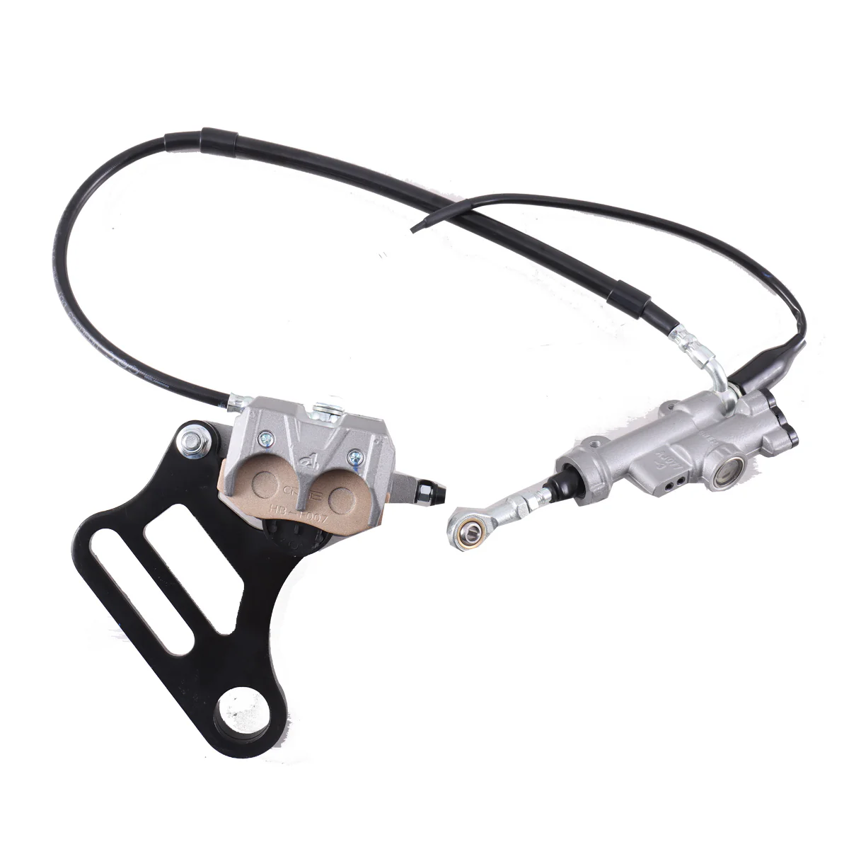 Rear Brake Assembly