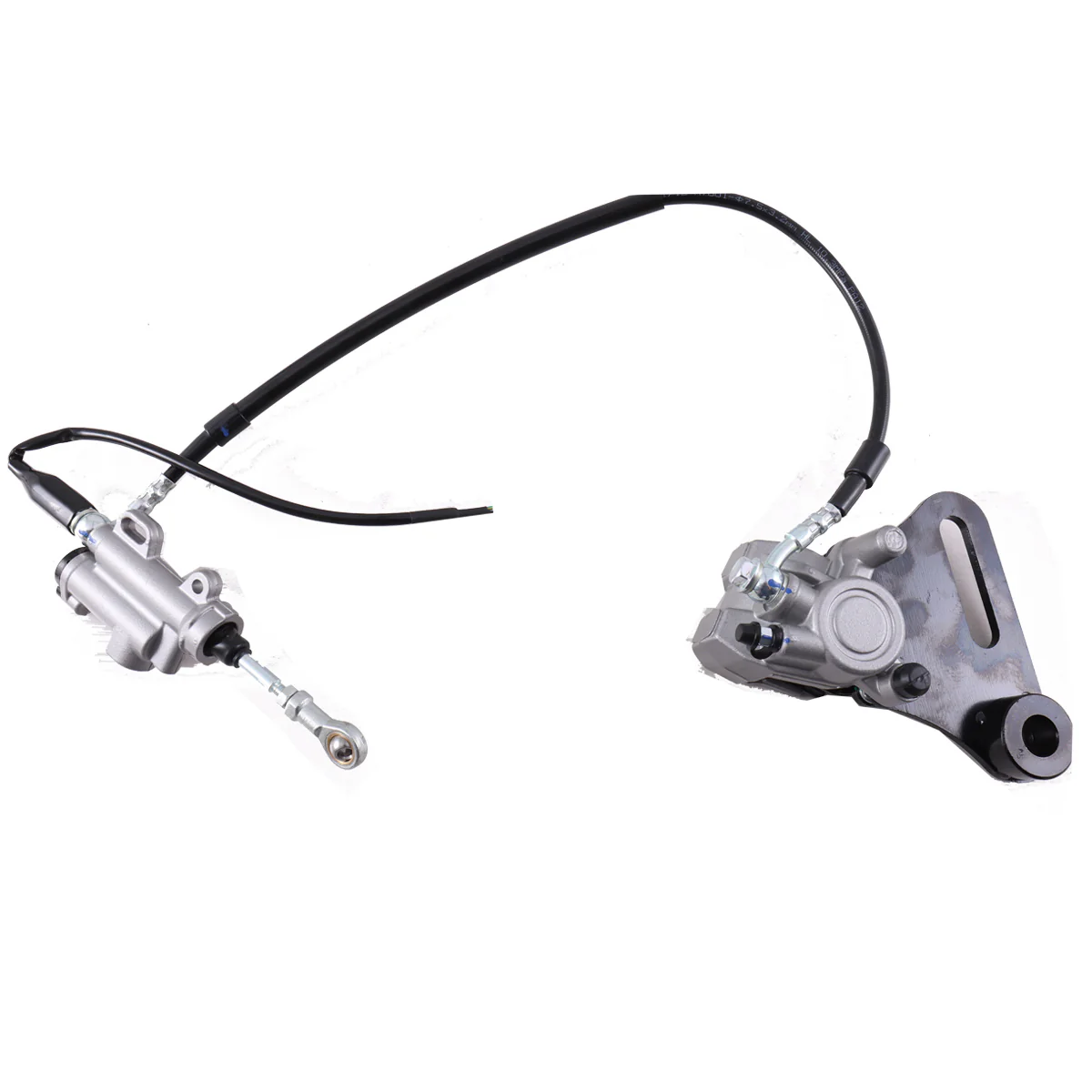 Rear Brake Assembly