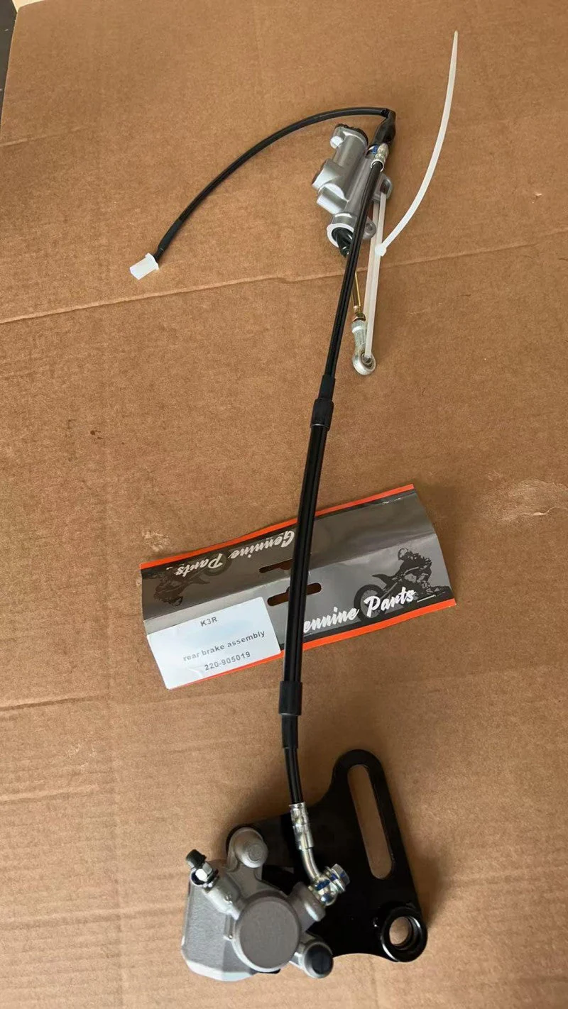 Rear Brake Assembly