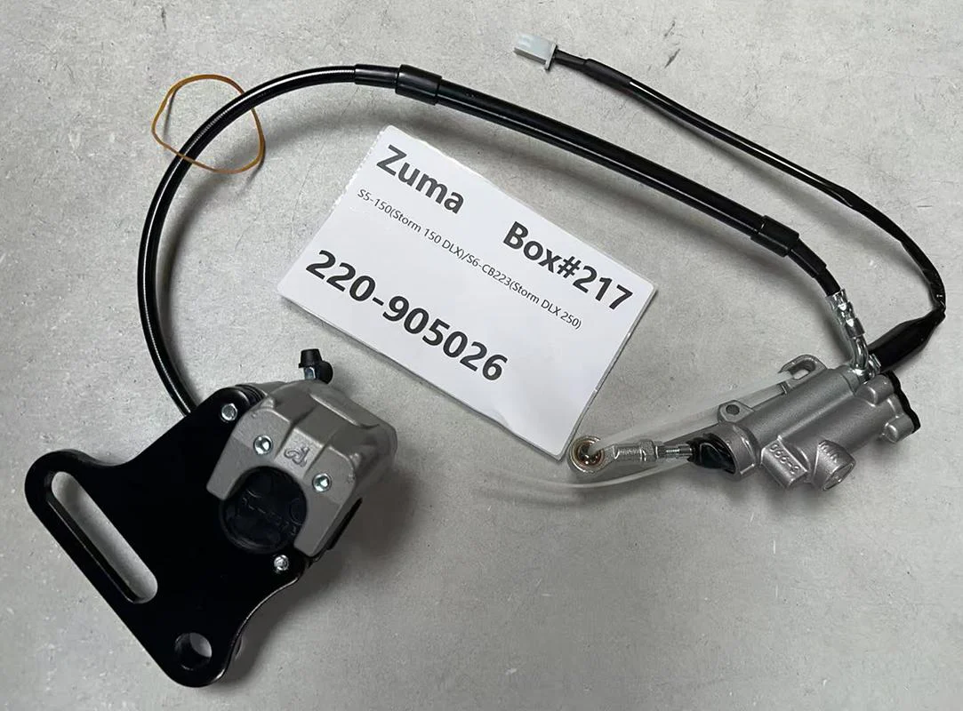 Rear Brake Assembly
