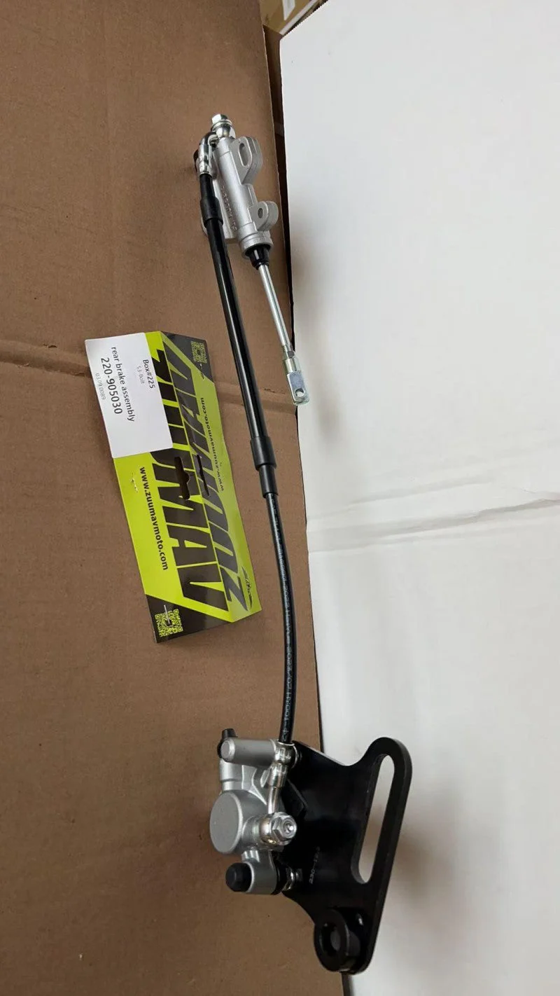 Rear Brake Assembly