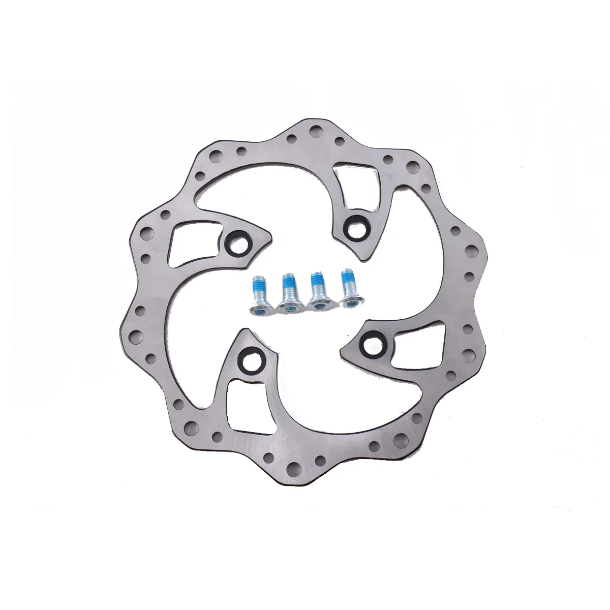 Front Brake Rotor Assembly