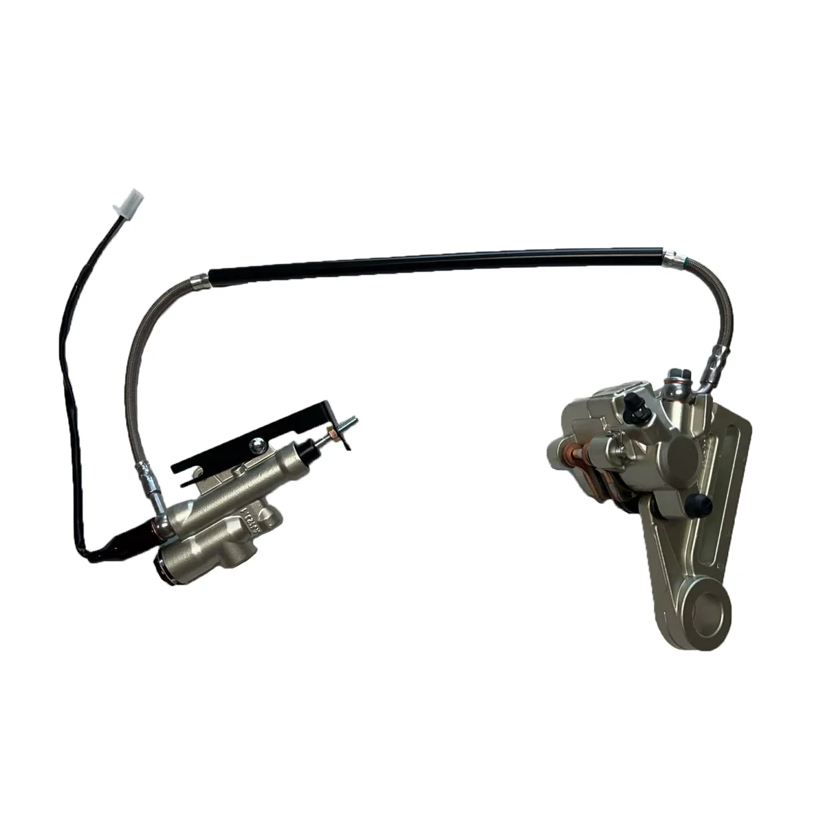 Rear Brake Assembly