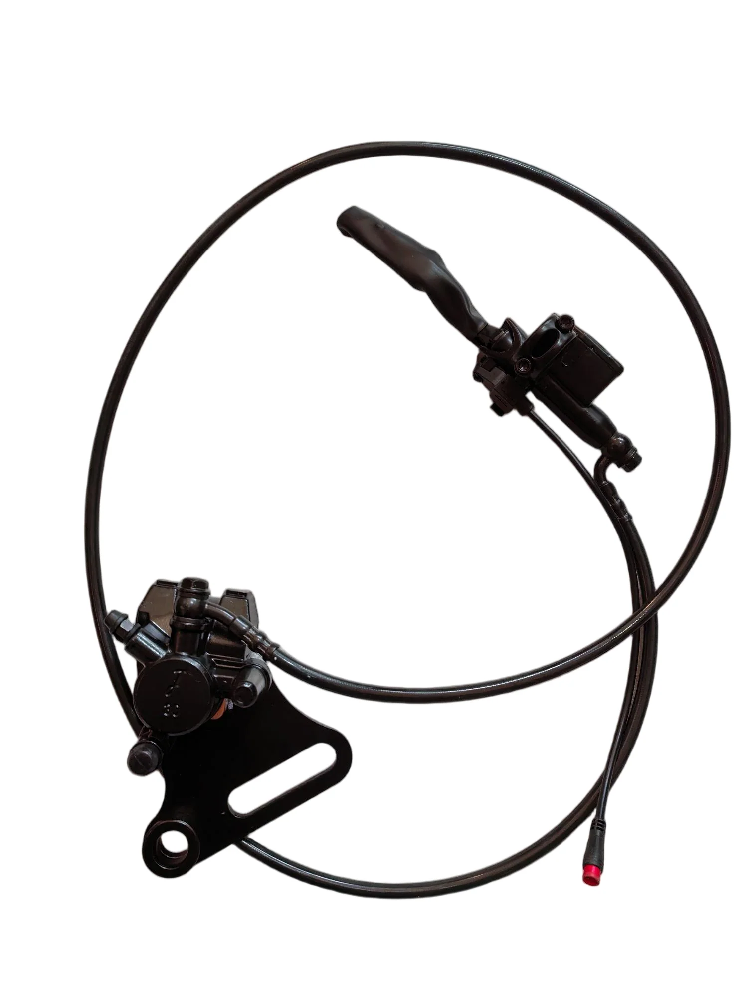 Rear Brake Assy
