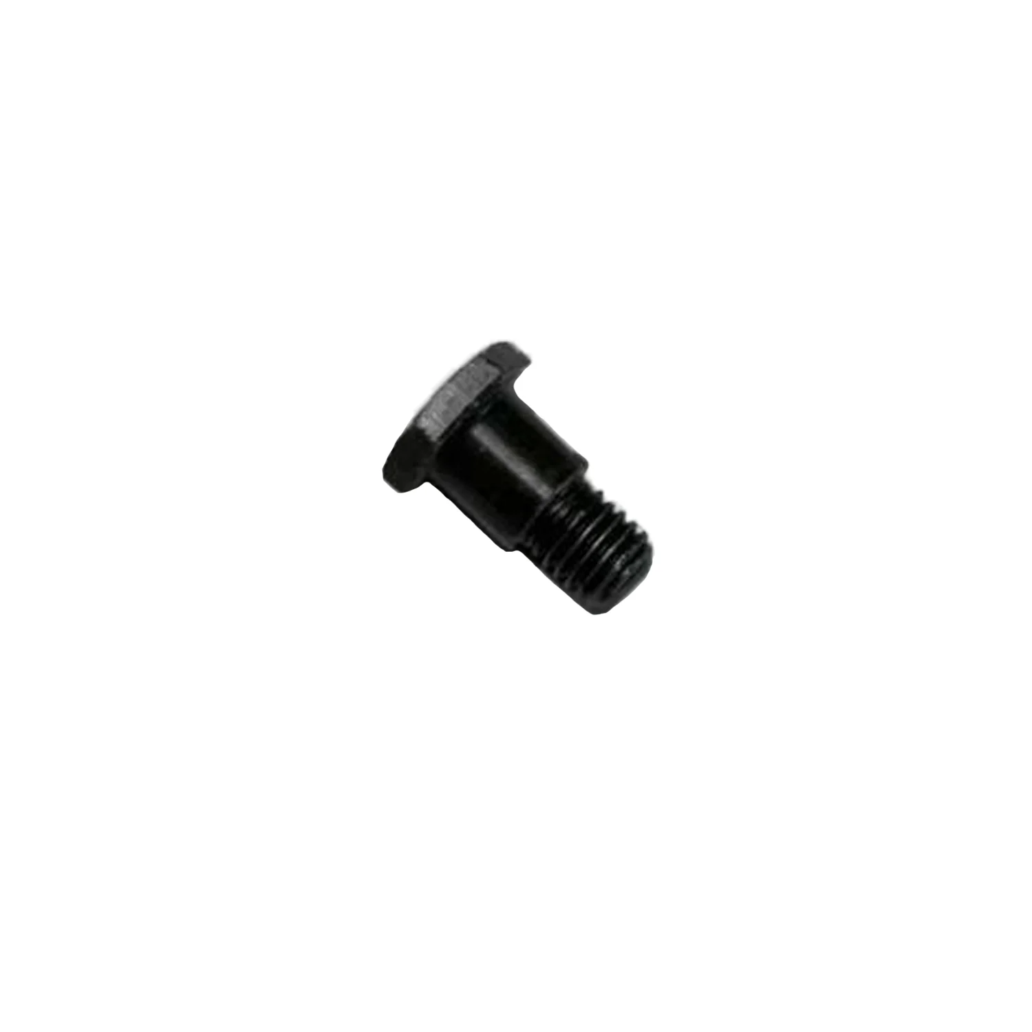 Kick Stand Bolt