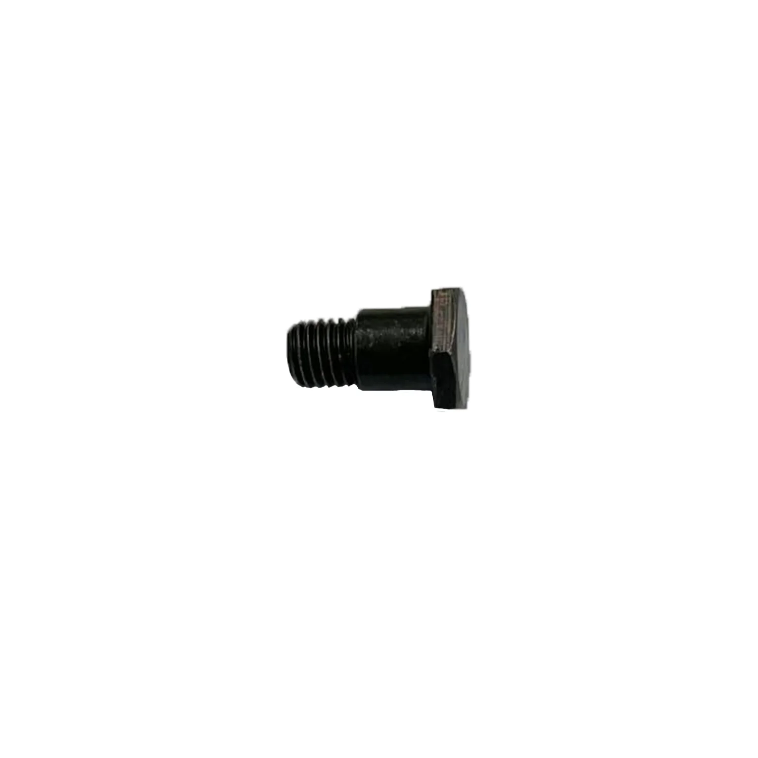 Kick Stand Mount Bolt