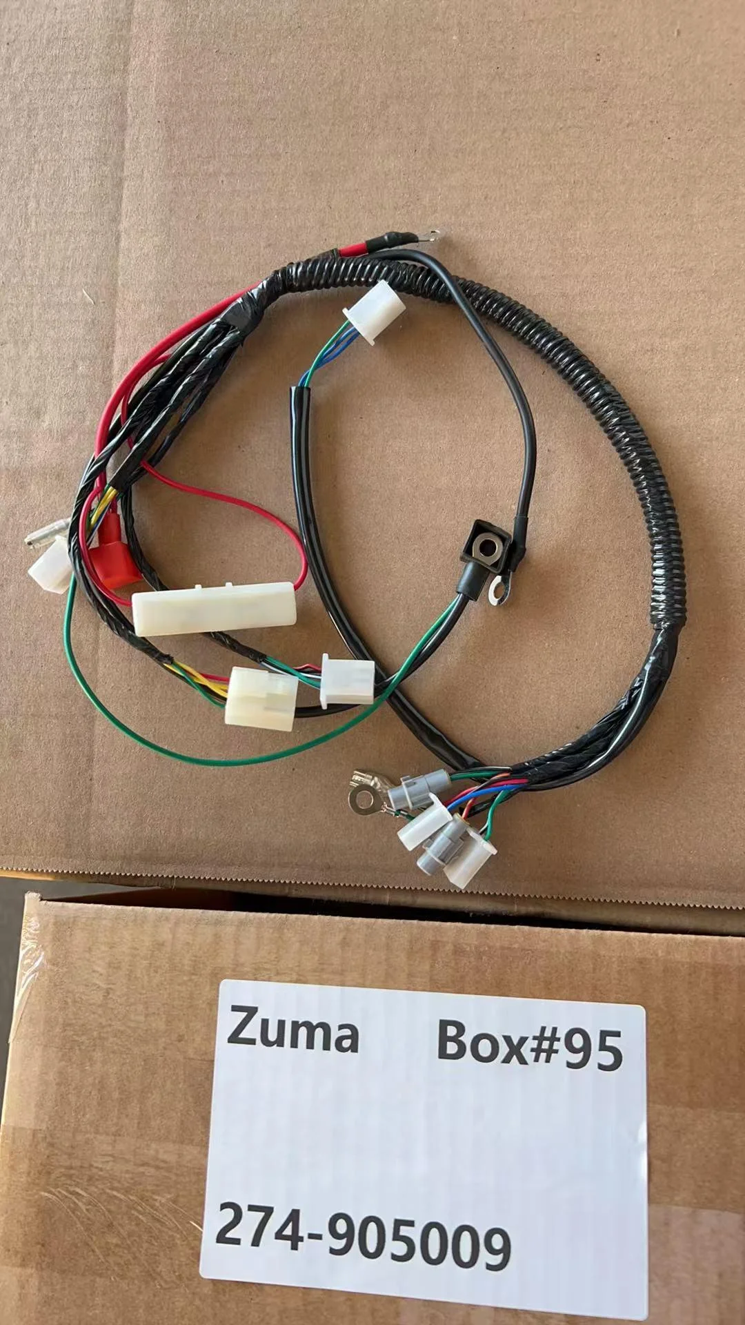 Main Wire Harness