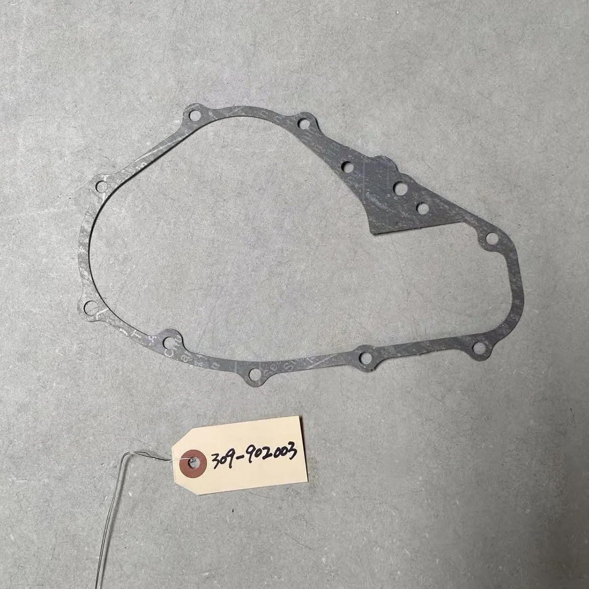 Engine Gasket
