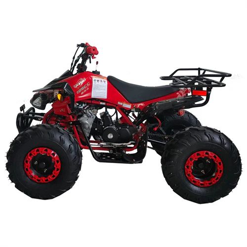 Free Shipping! X-PRO Leopard 125cc ATV with Automatic Transmission w/Reverse, Remote Control! Big 19in/18inTires! - Image 11