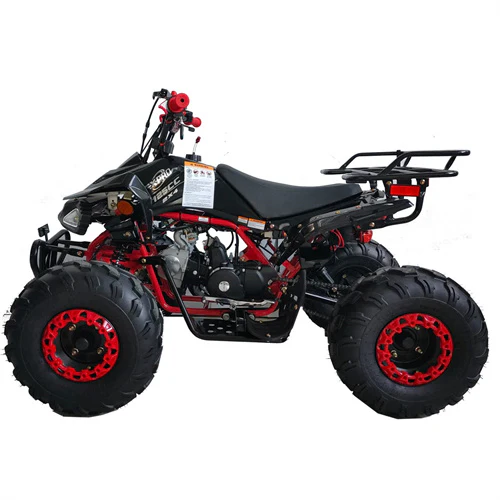 Free Shipping! X-PRO Leopard 125cc ATV with Automatic Transmission w/Reverse, Remote Control! Big 19in/18inTires! - Image 5