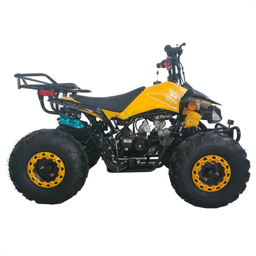 Free Shipping! X-PRO Leopard 125cc ATV with Automatic Transmission w/Reverse, Remote Control! Big 19in/18inTires! - Image 9